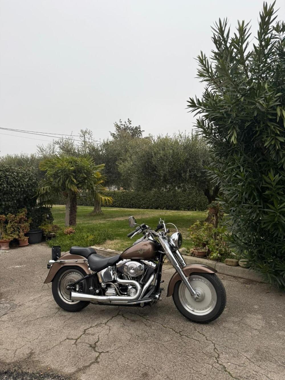 Harley-Davidson 1450 Fat Boy (2003 - 06) - FLSTFI (8)