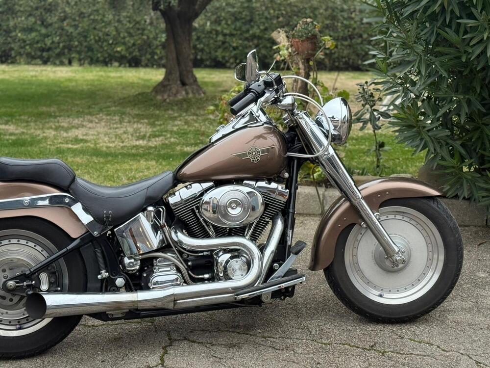 Harley-Davidson 1450 Fat Boy (2003 - 06) - FLSTFI (16)