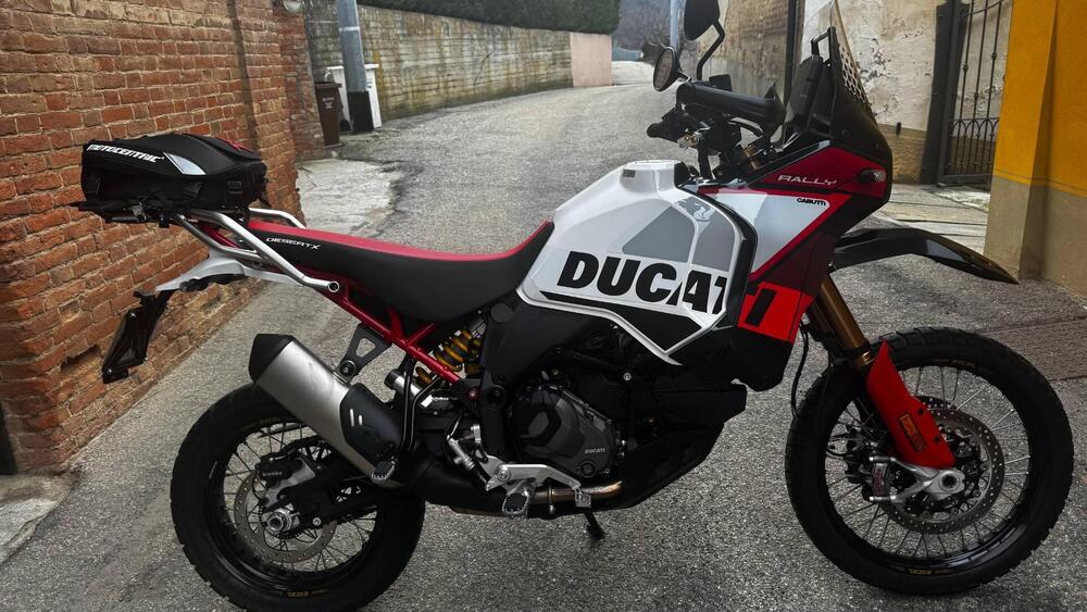 Ducati DesertX Rally (2024 - 25) (3)