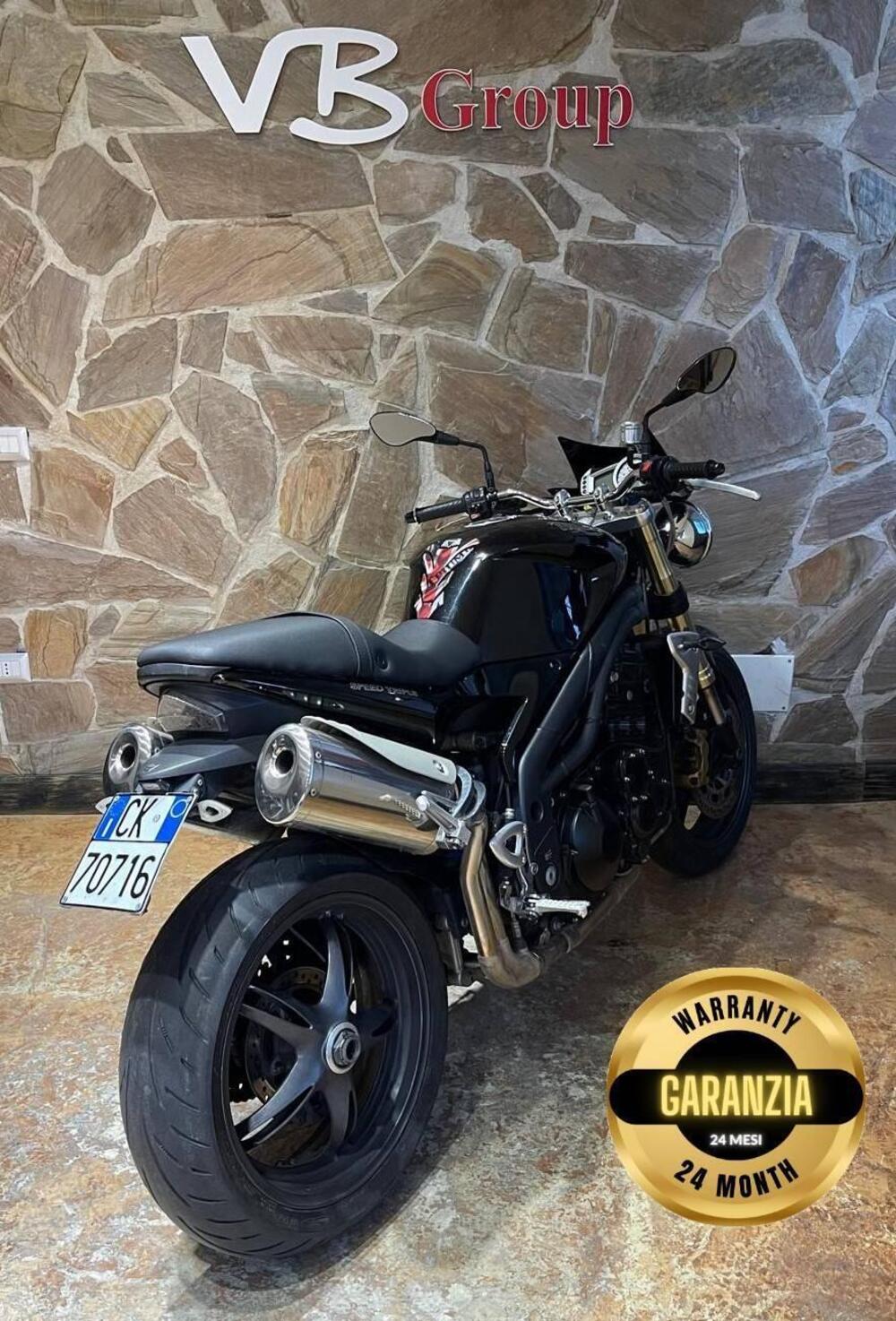 Triumph Speed Triple 1050 (2005 - 11) (6)