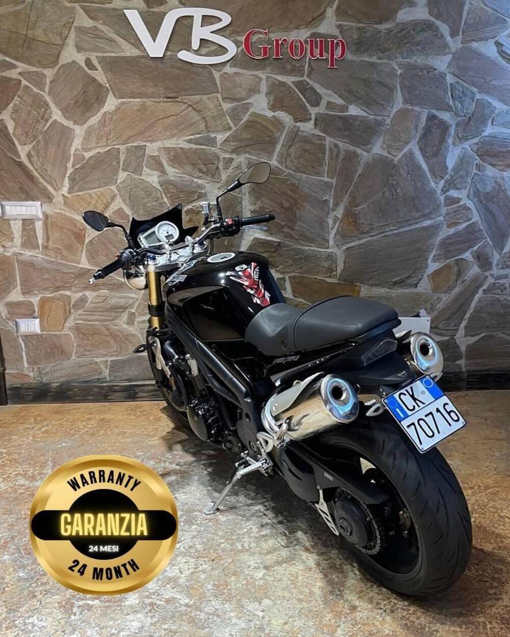 Triumph Speed Triple 1050 (2005 - 11) (8)