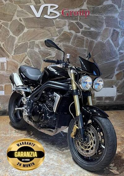 Triumph Speed Triple 1050 (2005 - 11) usata