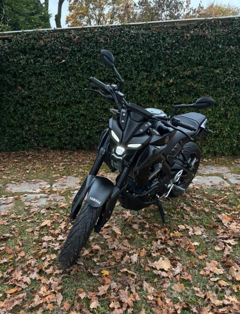 Yamaha MT-125 (2021 - 24)
