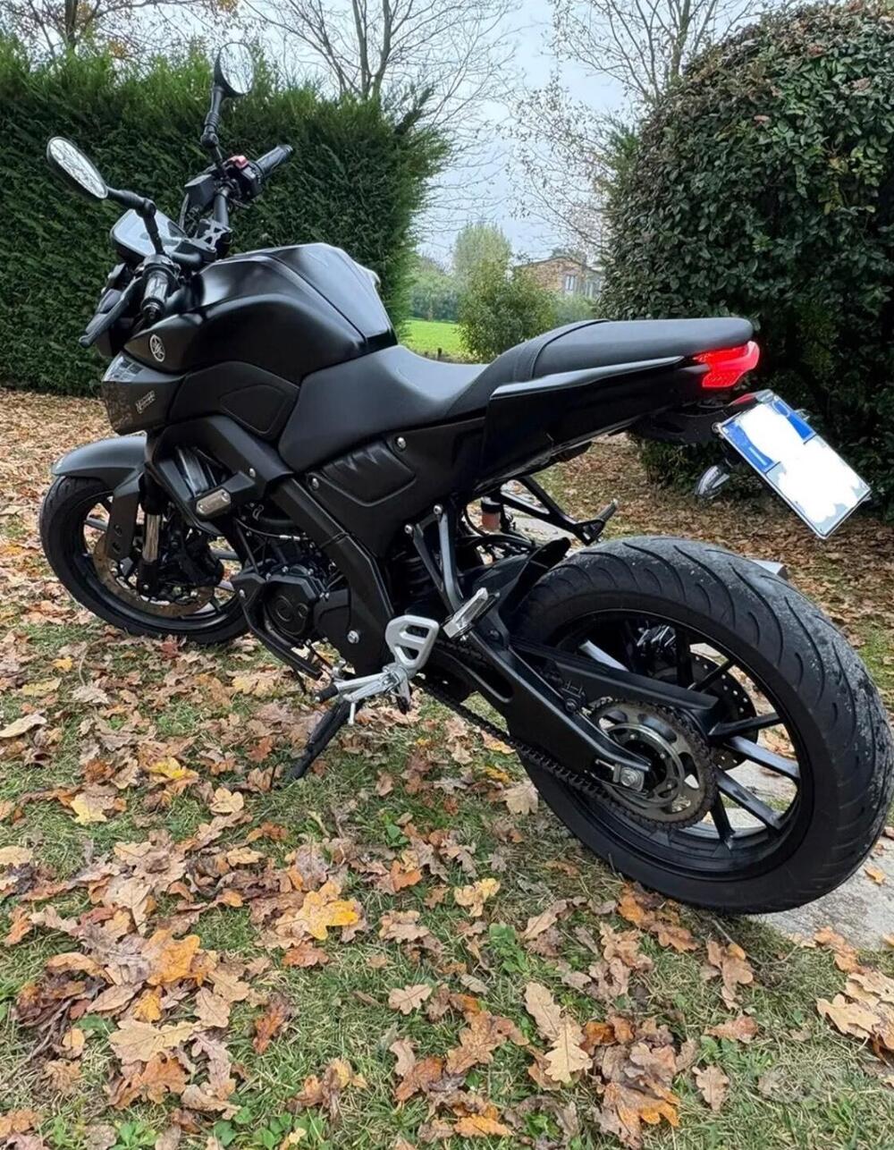 Yamaha MT-125 (2021 - 24) (2)