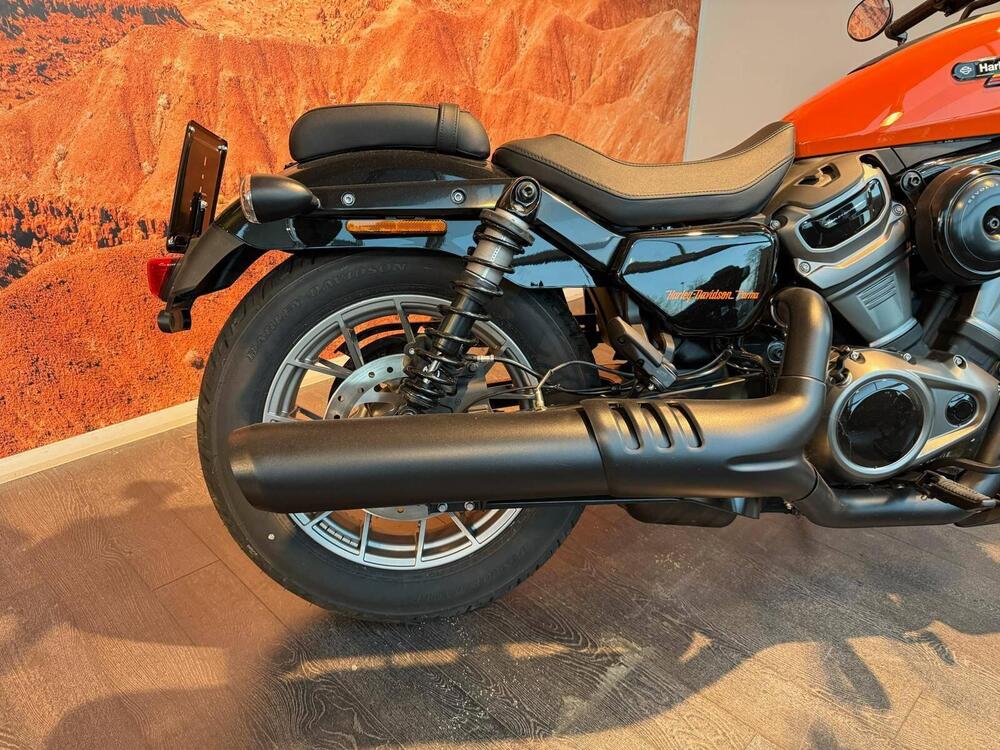 Harley-Davidson Nightster Special (2023 - 26) (3)