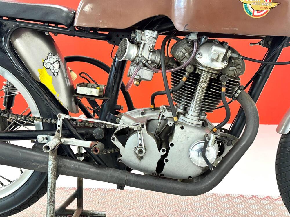 Ducati 250 CORSA (10)