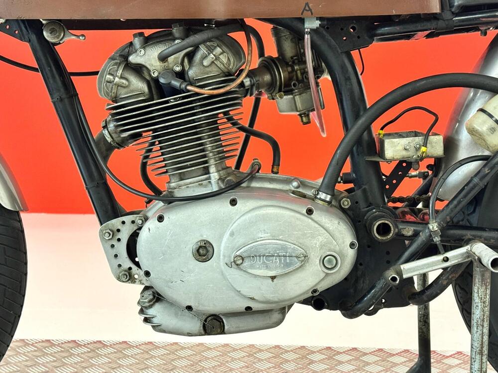 Ducati 250 CORSA (14)
