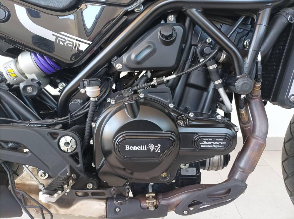 Benelli Leoncino 500 Trail (2021 - 26) (13)