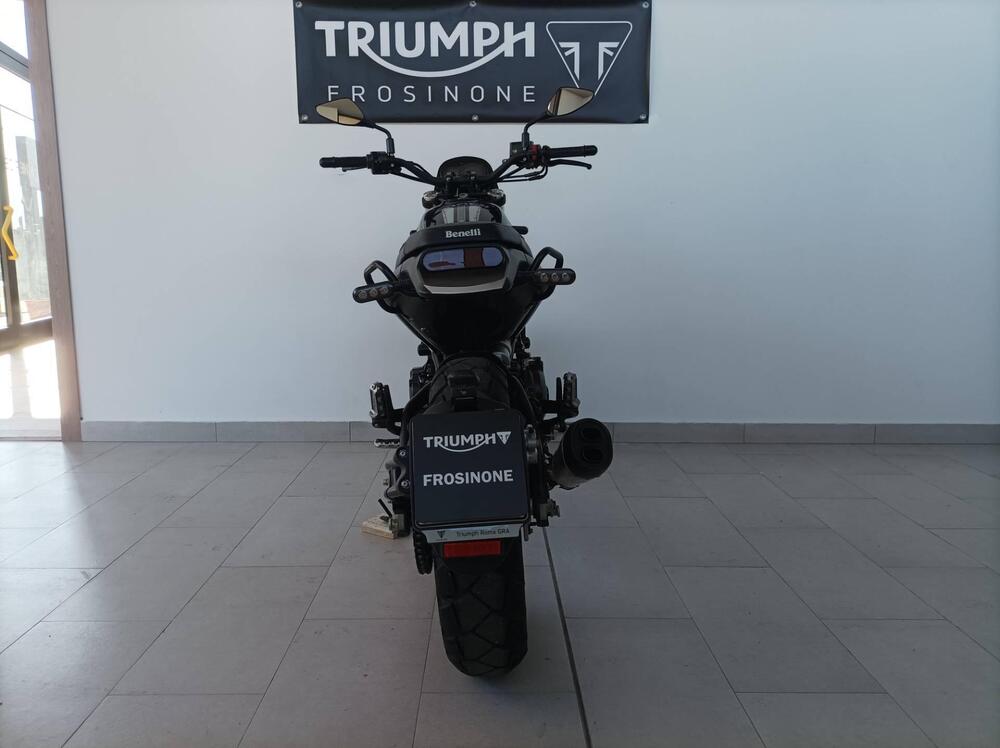 Benelli Leoncino 500 Trail (2021 - 26) (4)