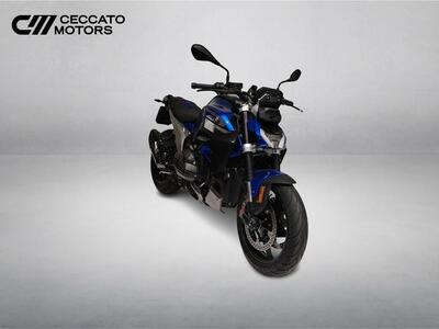 Bmw R 1300 R (2026) nuova