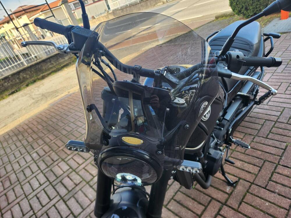 Benelli Leoncino 500 ABS (2017 - 20) (6)