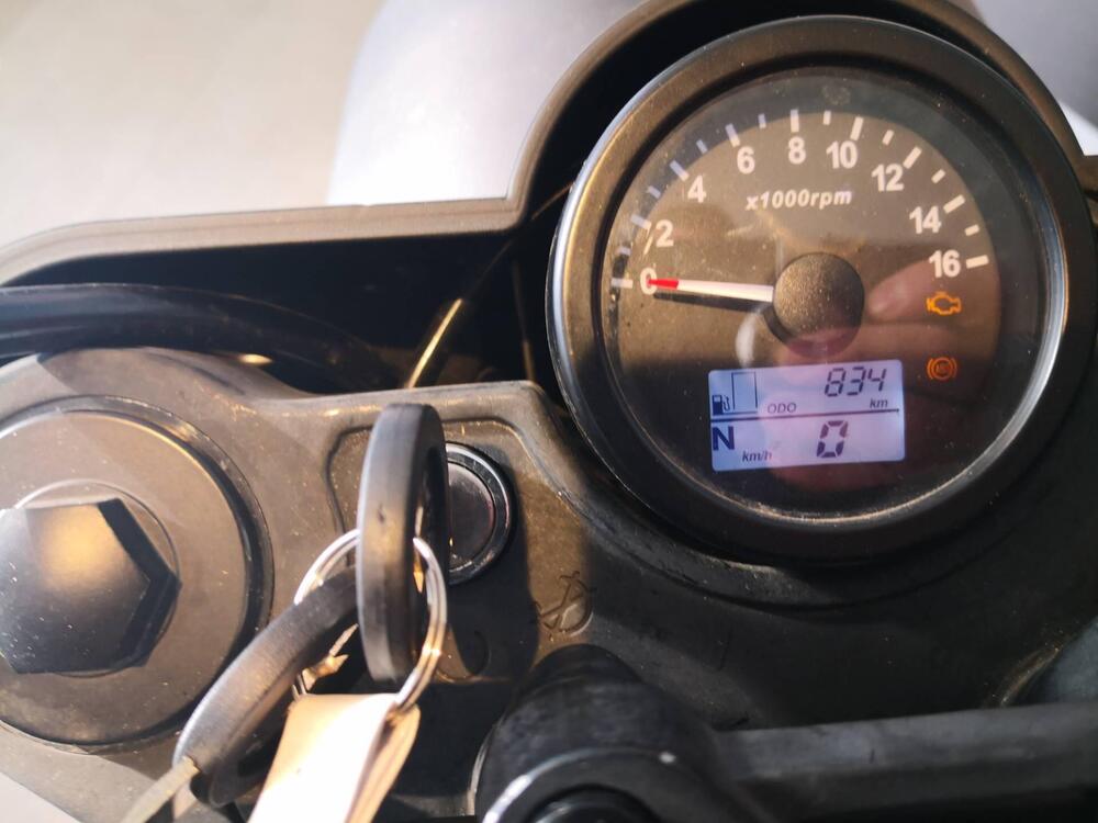 Brixton Motorcycles Felsberg 250 FT (2023) (13)