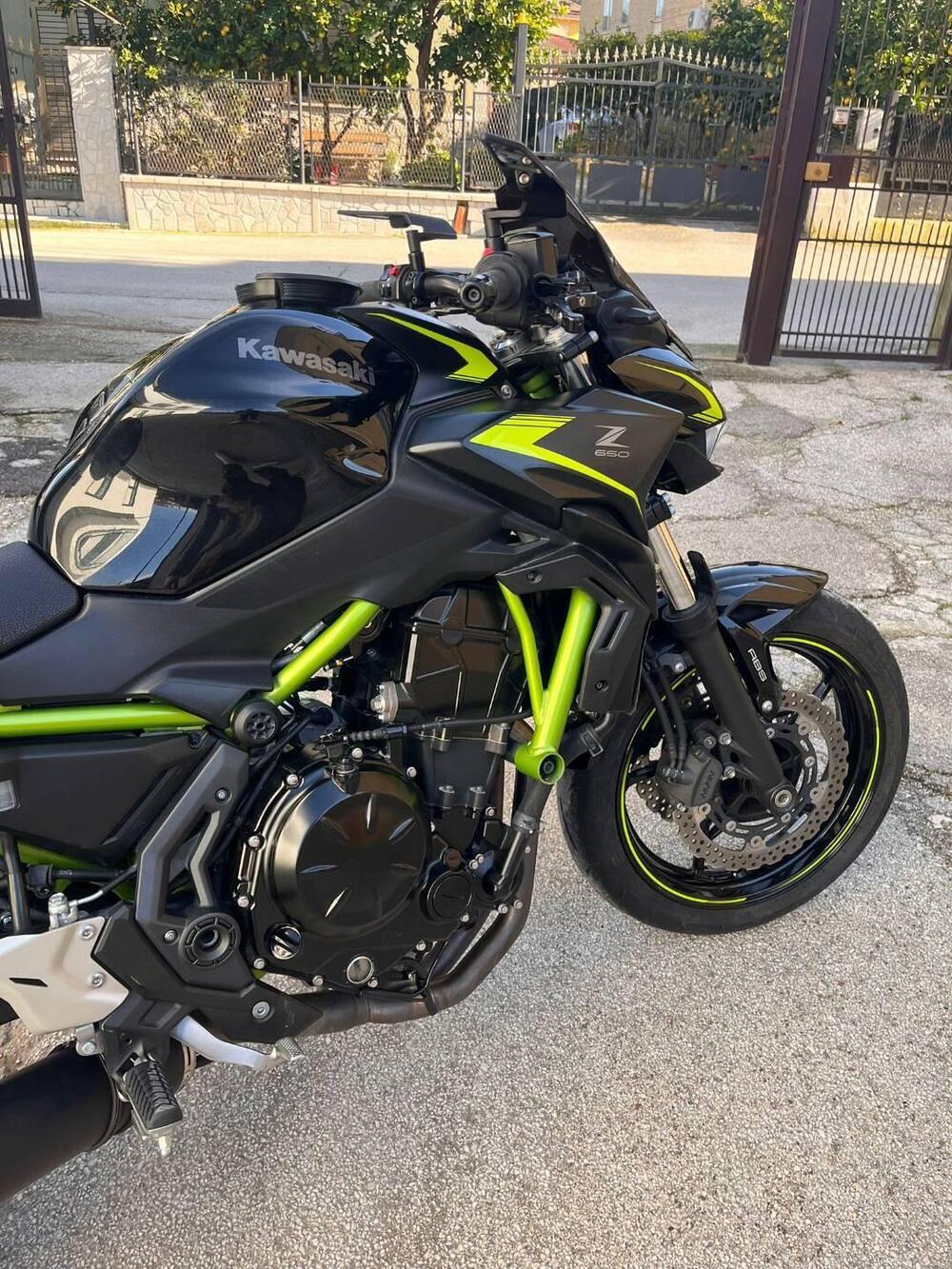 Kawasaki Z 650 (2021 - 24)
