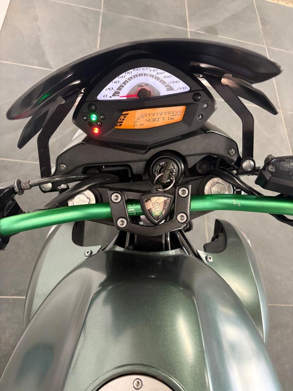 Kawasaki ER-6N (2009 - 11) (2)