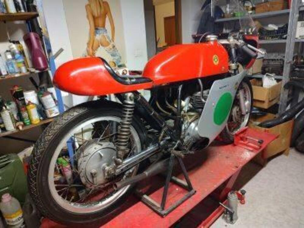 Bultaco VERO TSS 250 (4)