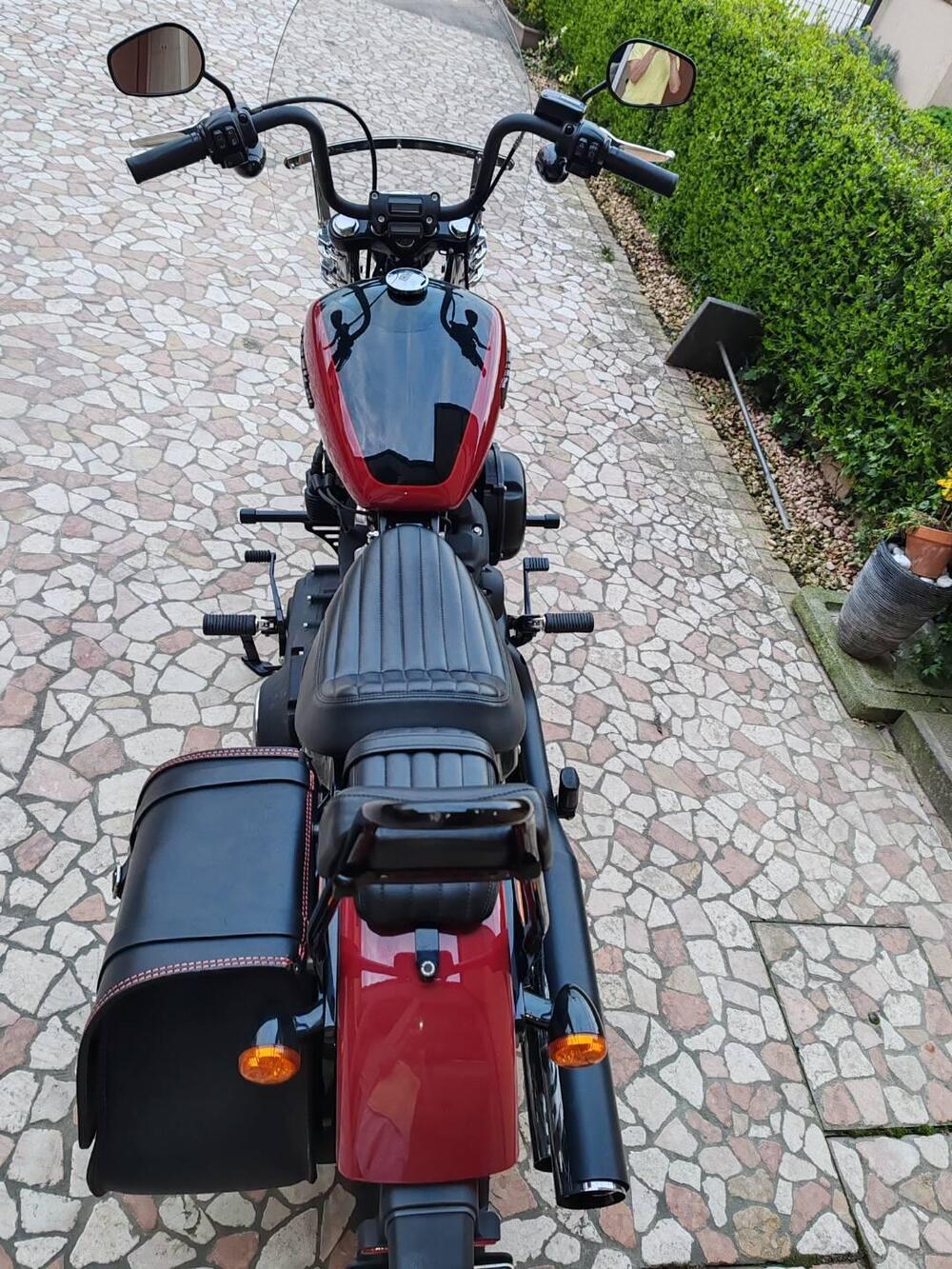 Harley-Davidson Softail Standard (2021 - 25) (2)