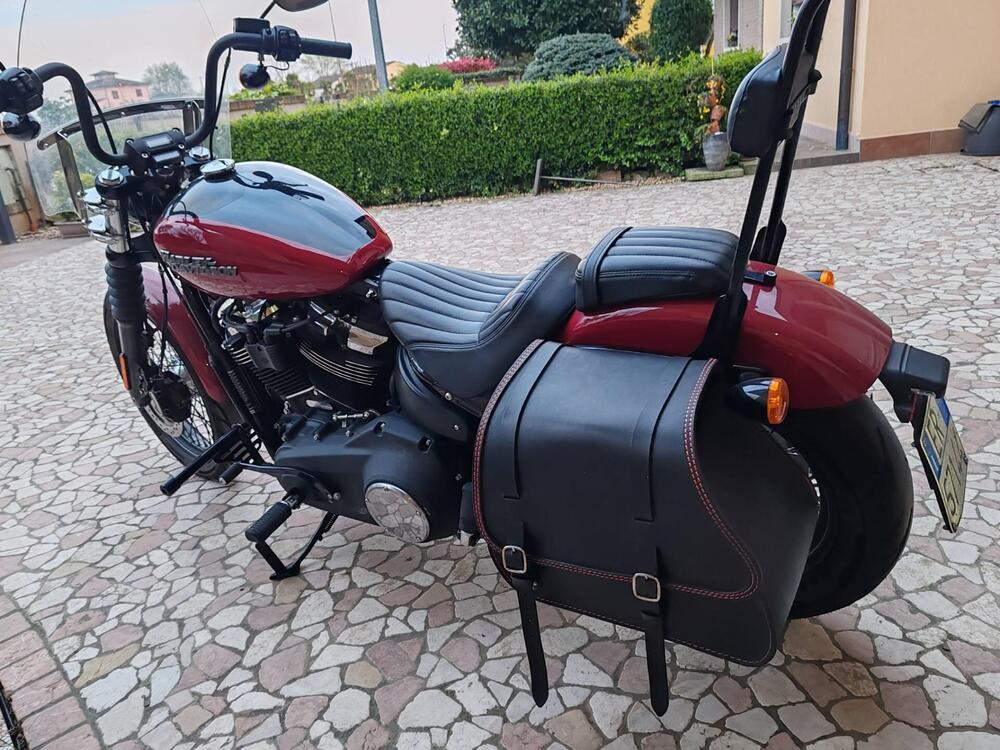 Harley-Davidson Softail Standard (2021 - 25) (3)