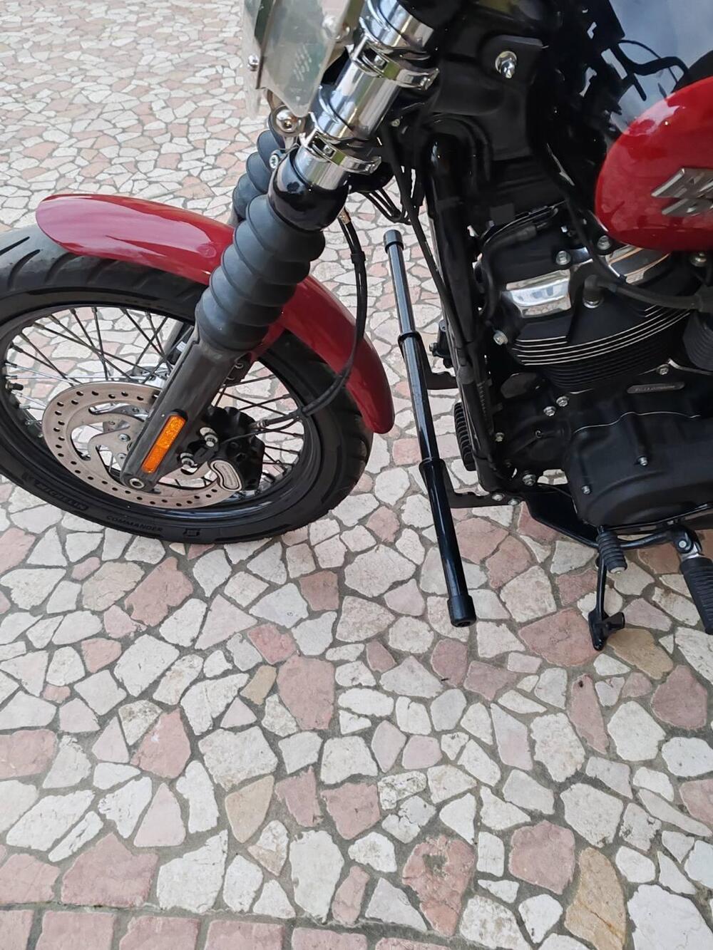 Harley-Davidson Softail Standard (2021 - 25) (4)