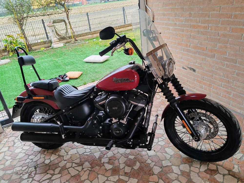Harley-Davidson Softail Standard (2021 - 25) (6)