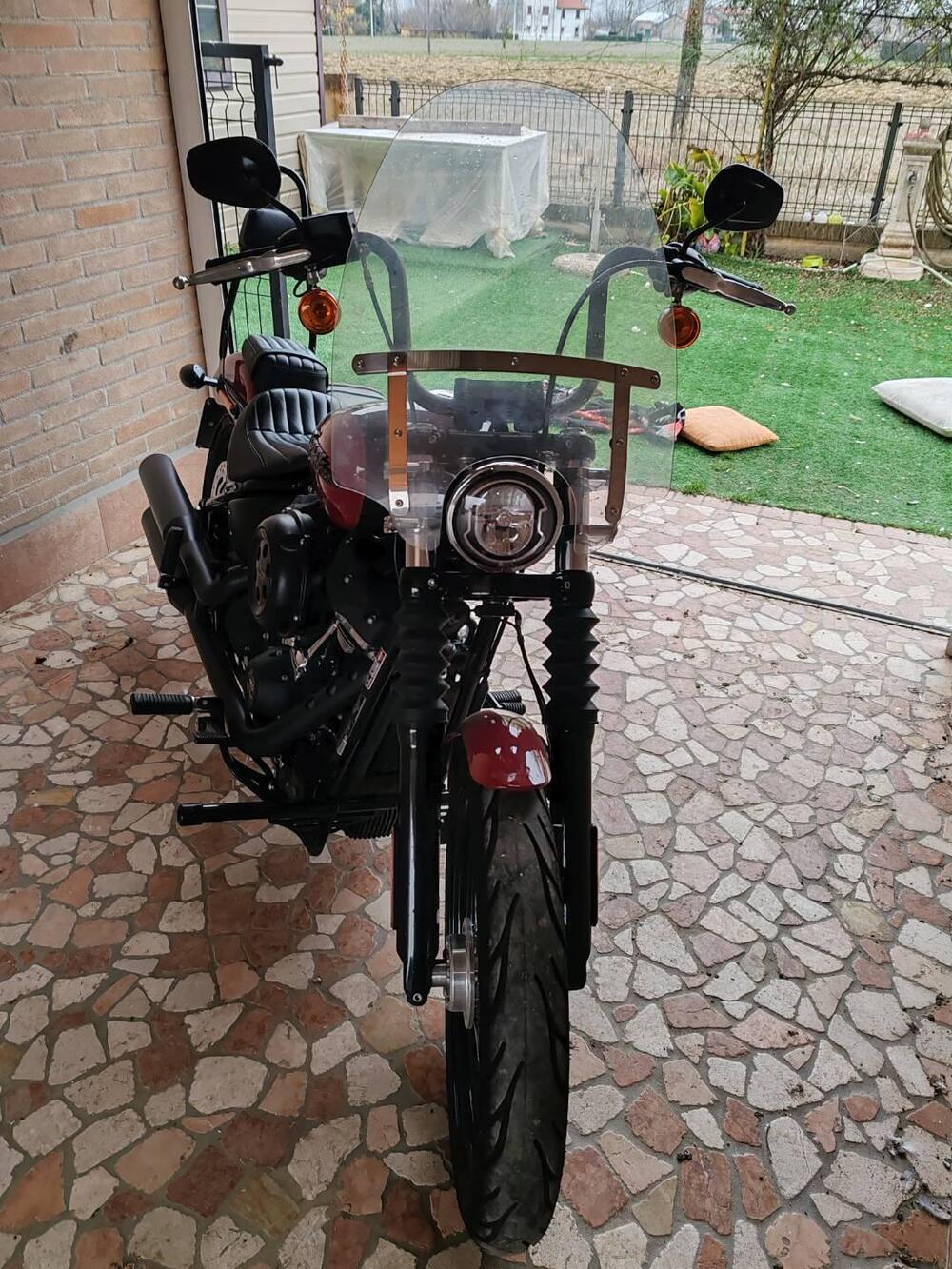 Harley-Davidson Softail Standard (2021 - 25) (8)