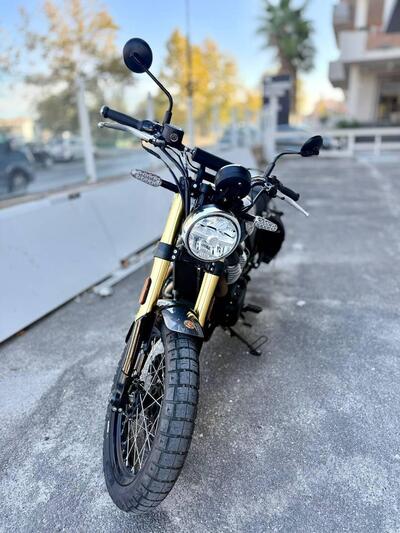 Royal Enfield Bear 650 (2025 - 26) usata