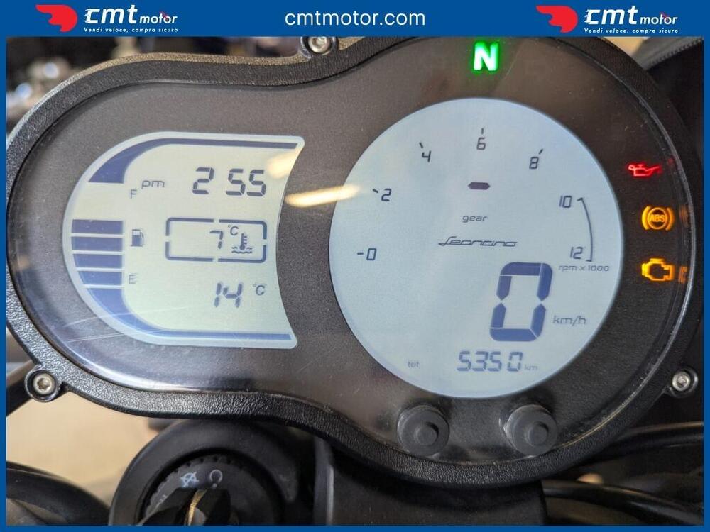 Benelli Leoncino 500 (2021 - 25) (5)