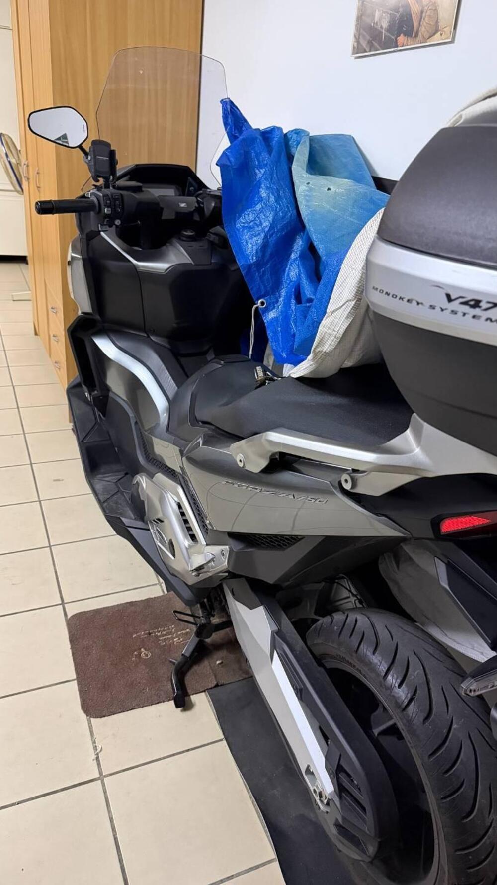 Honda Forza 750 DCT (2021 - 24) (3)