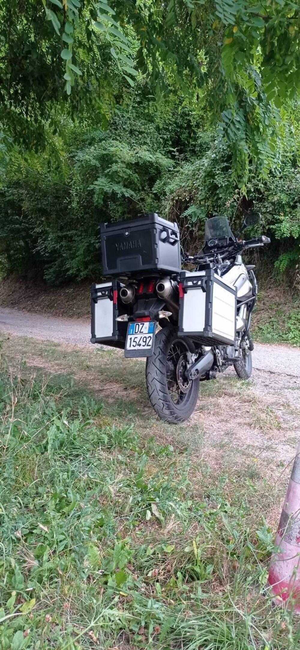 Yamaha XT 660 Z Ténéré (2008 - 16) (3)