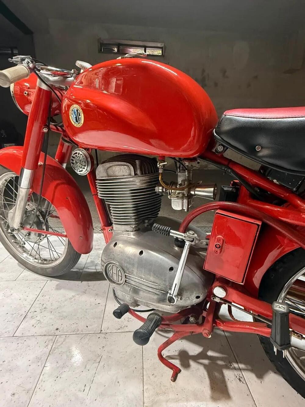 Bianchi Bianchi beta  (2)