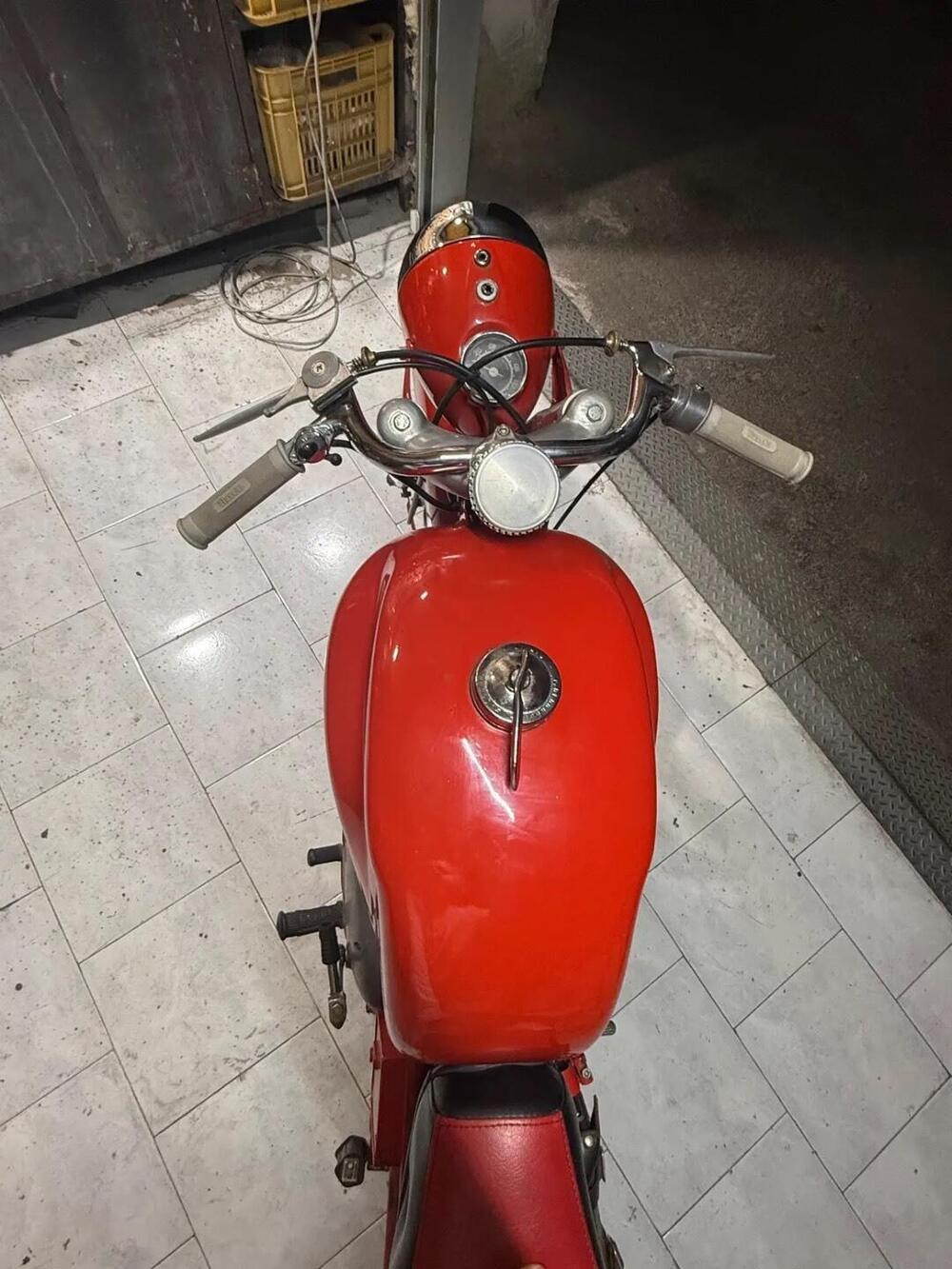 Bianchi Bianchi beta  (3)