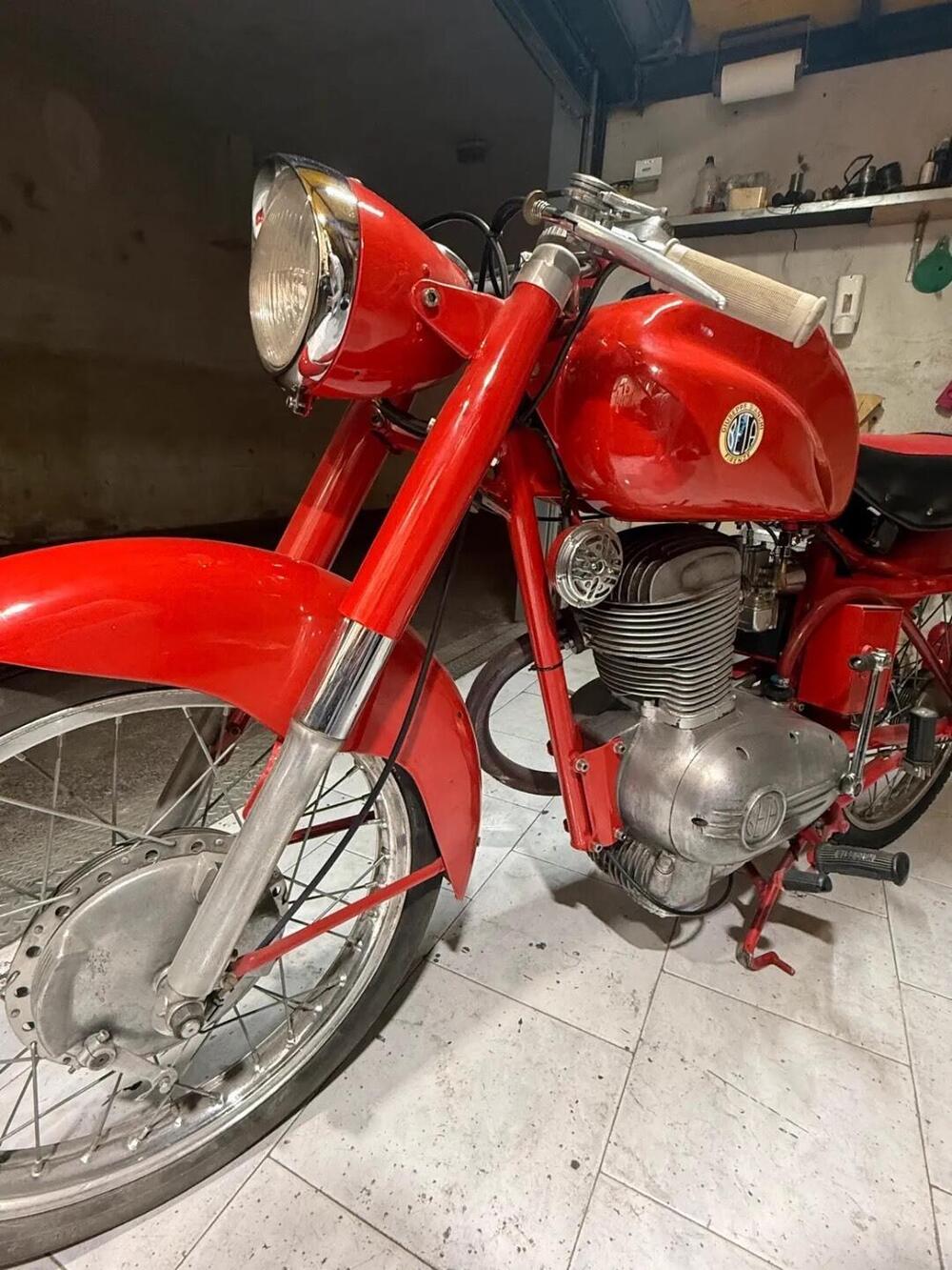 Bianchi Bianchi beta  (4)