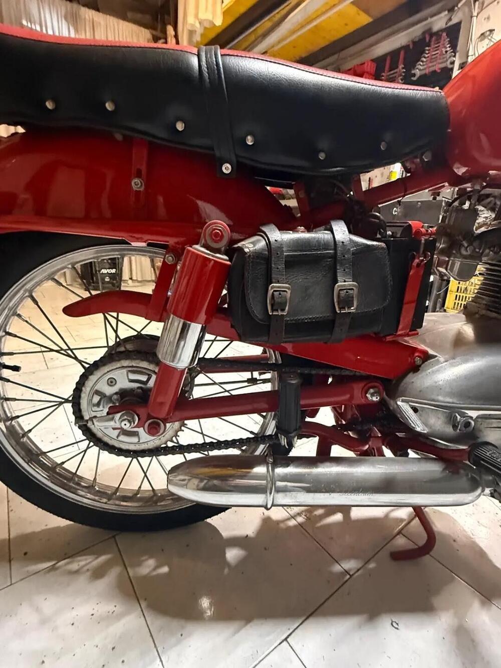 Bianchi Bianchi beta  (5)