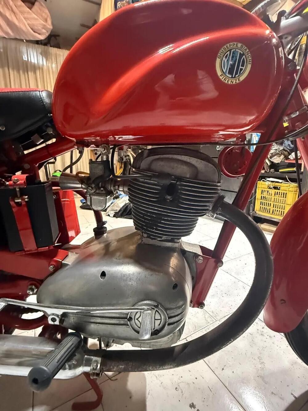 Bianchi Bianchi beta  (6)