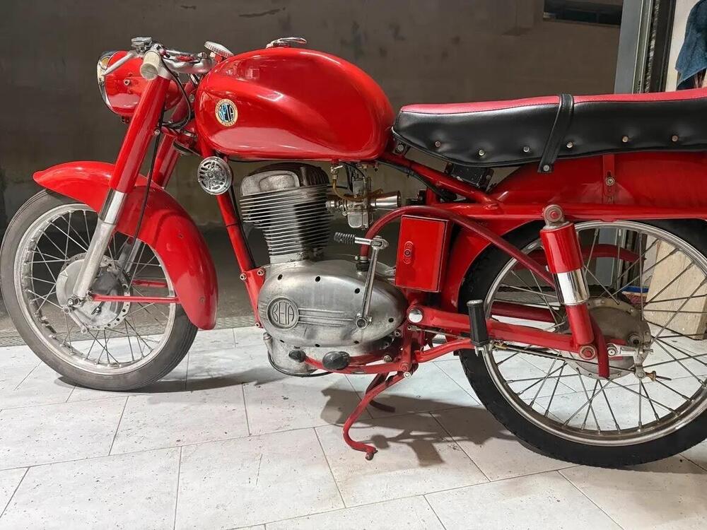 Bianchi Bianchi beta  (7)