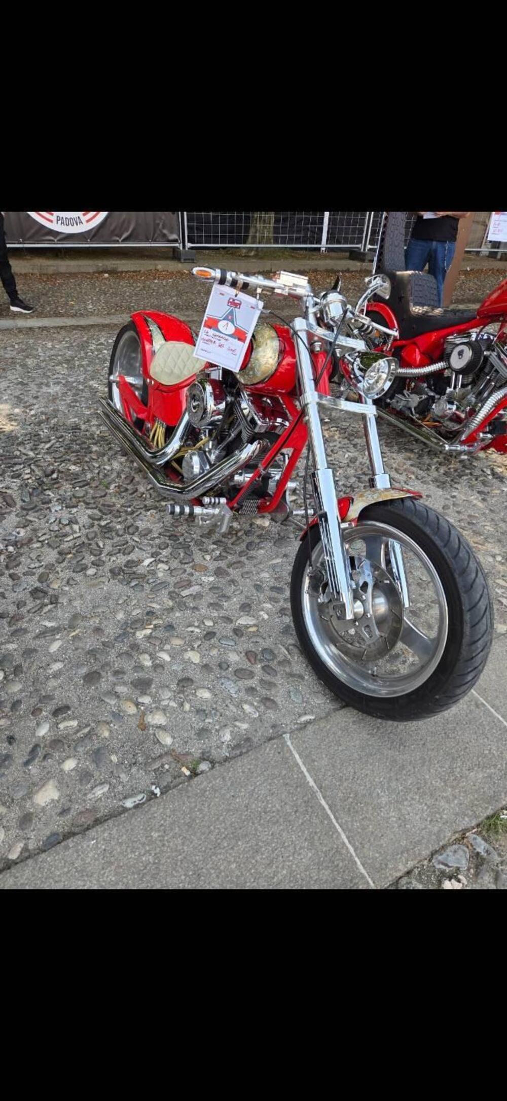 Harley-Davidson CVO Road Glide Limited Anniversary (2023) (2)