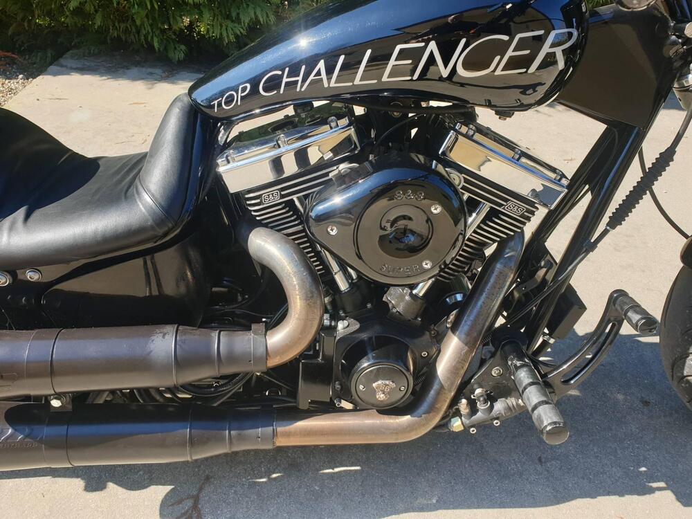 Harley-Davidson 1800 Springer (2009 - 12) - FXSTSSE (14)