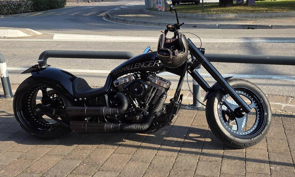 Harley-Davidson 1800 Springer (2009 - 12) - FXSTSSE (15)