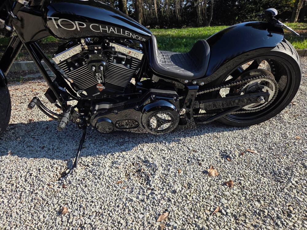 Harley-Davidson 1800 Springer (2009 - 12) - FXSTSSE (16)