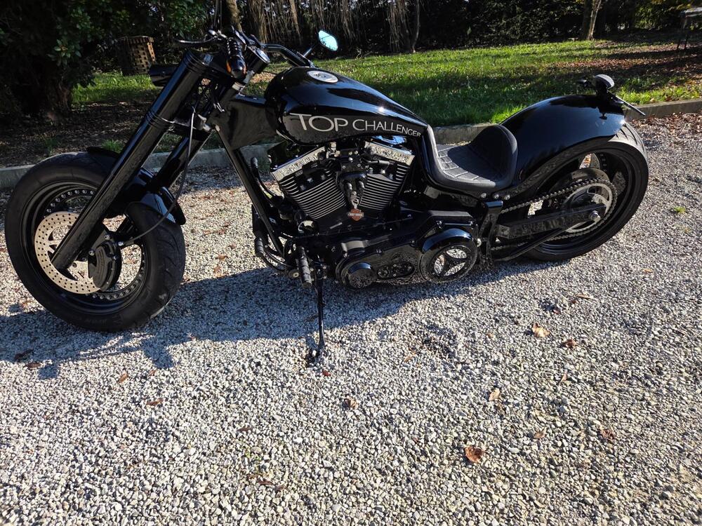 Harley-Davidson 1800 Springer (2009 - 12) - FXSTSSE (17)