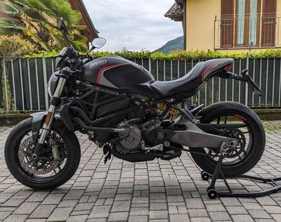 Ducati Monster 821 Stealth (2019 - 20) usata