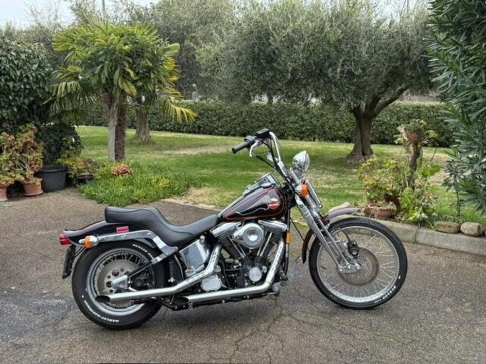 Harley-Davidson 1340 Springer (1990 - 98) - FXSTS (6)