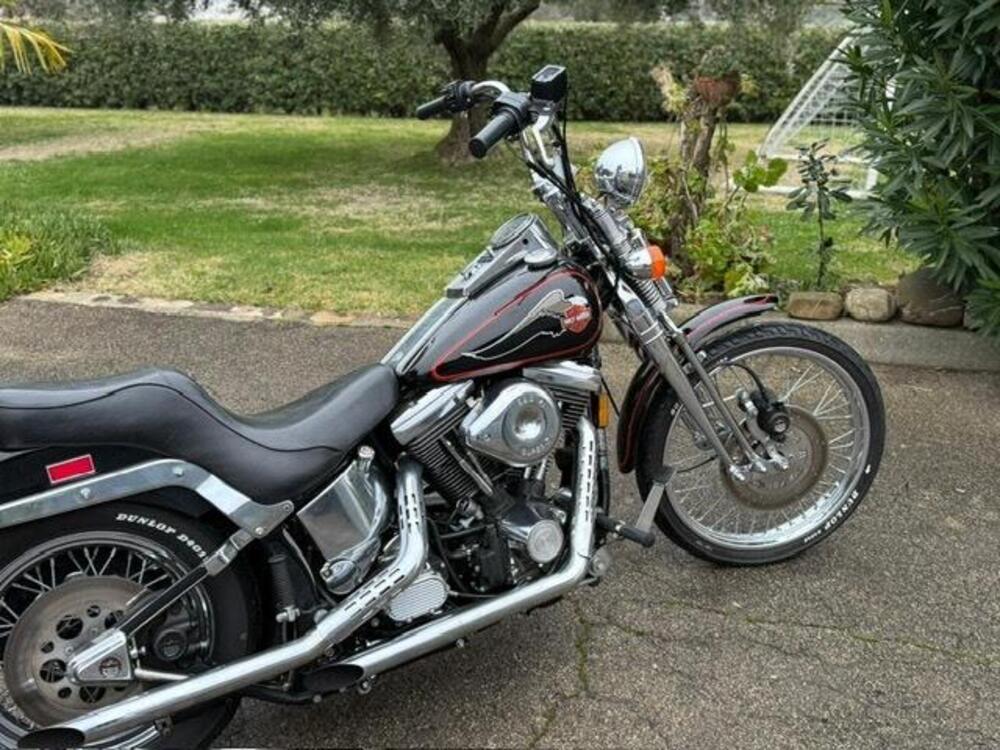Harley-Davidson 1340 Springer (1990 - 98) - FXSTS (9)