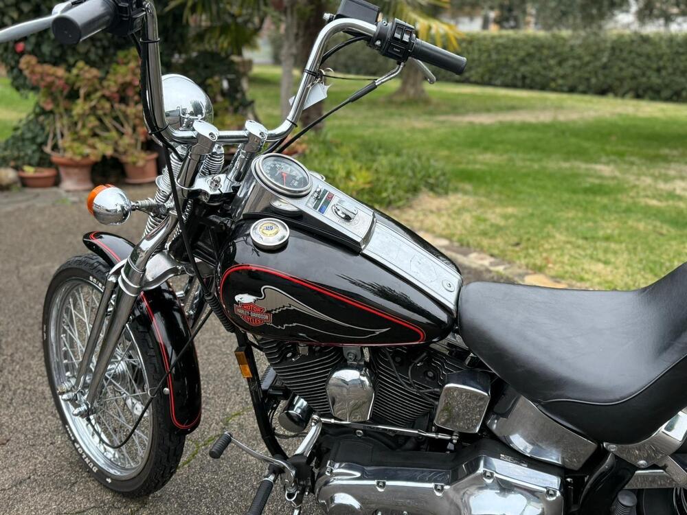 Harley-Davidson 1340 Springer (1990 - 98) - FXSTS (11)