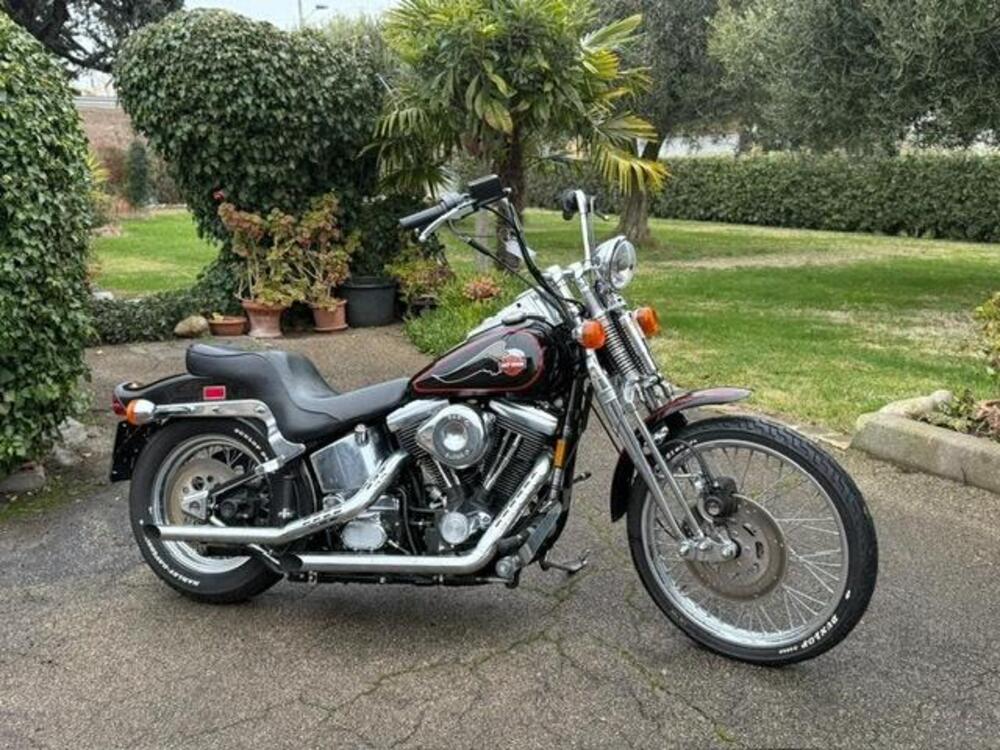 Harley-Davidson 1340 Springer (1990 - 98) - FXSTS (17)