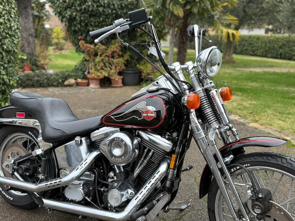 Harley-Davidson 1340 Springer (1990 - 98) - FXSTS (18)