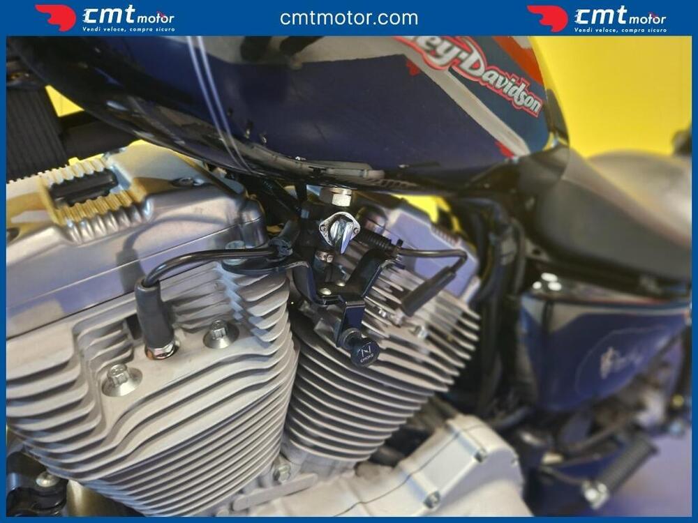 Harley-Davidson 883 Standard (2001 - 05) - XL 883 (6)