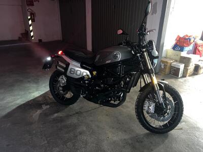 Benelli Leoncino 800 Trail (2022 - 26) usata