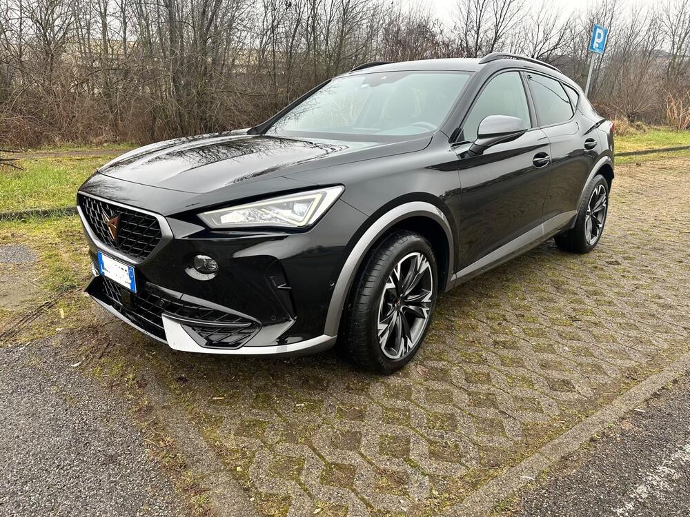 Cupra Formentor usata a Monza e Brianza (6)