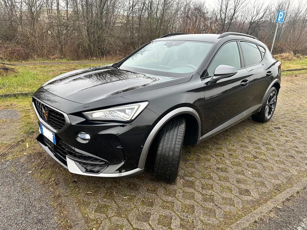 Cupra Formentor usata a Monza e Brianza (8)