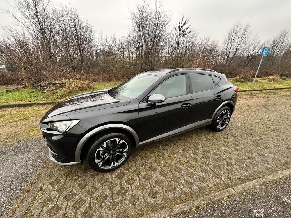 Cupra Formentor usata a Monza e Brianza (9)